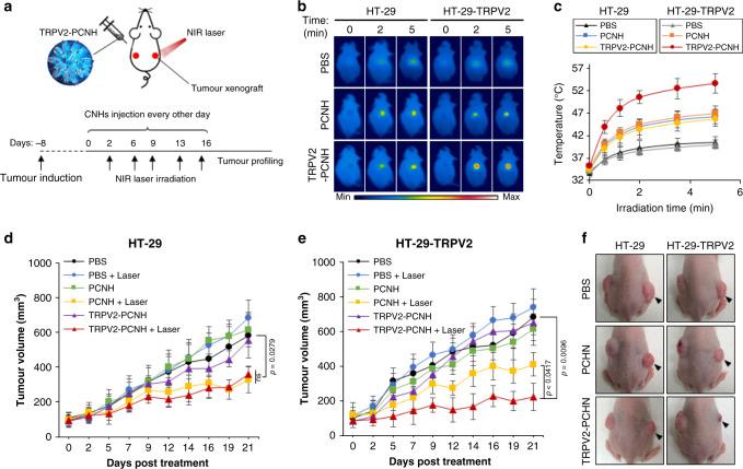 https://cdn.ncbi.nlm.nih.gov/pmc/blobs/3ff8/7431860/cf9824845a05/41467_2020_17768_Fig5_HTML.jpg