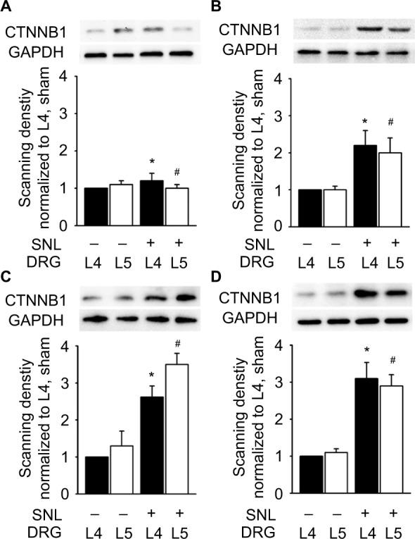 https://cdn.ncbi.nlm.nih.gov/pmc/blobs/3ff9/5694199/1fd514053307/jpr-10-2665Fig5.jpg