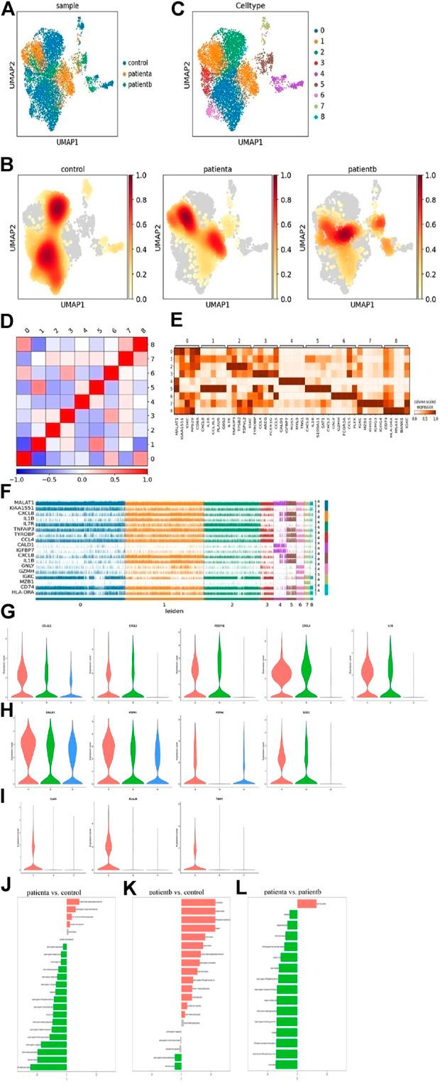 https://cdn.ncbi.nlm.nih.gov/pmc/blobs/3ff9/9253298/23c0e00067ff/fcell-10-880320-g002.jpg