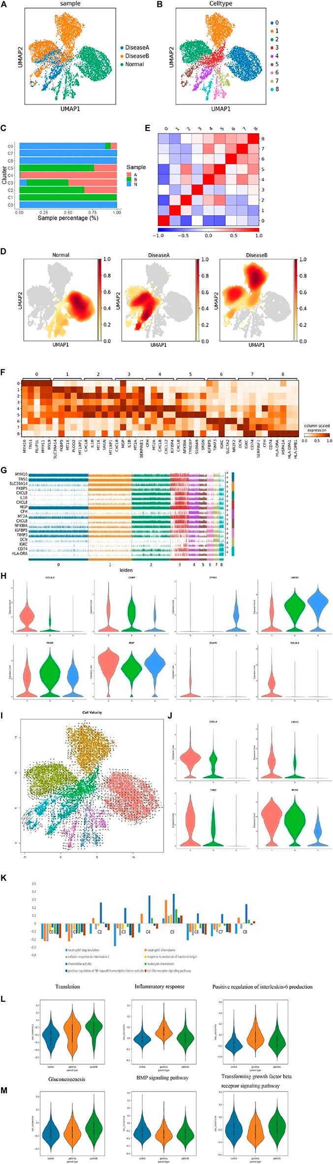 https://cdn.ncbi.nlm.nih.gov/pmc/blobs/3ff9/9253298/bd50e629a6c7/fcell-10-880320-g003.jpg