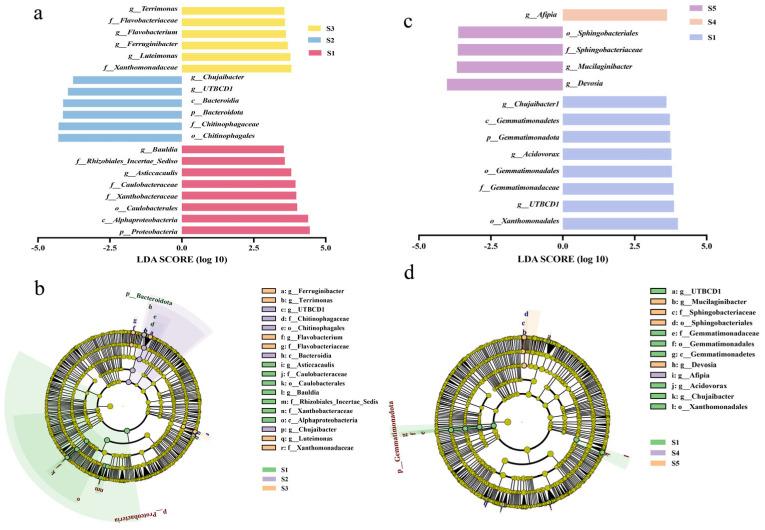 https://cdn.ncbi.nlm.nih.gov/pmc/blobs/3ffb/12195157/3c0c535a84e7/microorganisms-13-01327-g005.jpg