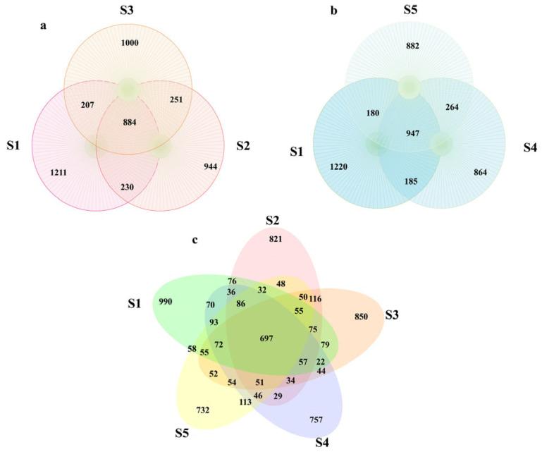 https://cdn.ncbi.nlm.nih.gov/pmc/blobs/3ffb/12195157/9aef08c34ea6/microorganisms-13-01327-g001.jpg