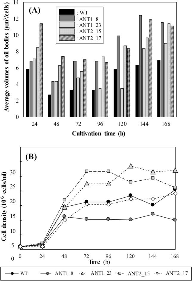 https://cdn.ncbi.nlm.nih.gov/pmc/blobs/3ffc/8536745/a8e563dae62c/41598_2021_453_Fig1_HTML.jpg