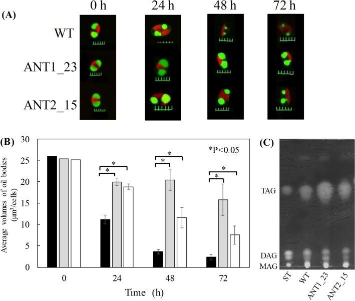 https://cdn.ncbi.nlm.nih.gov/pmc/blobs/3ffc/8536745/ff9e9596385e/41598_2021_453_Fig3_HTML.jpg