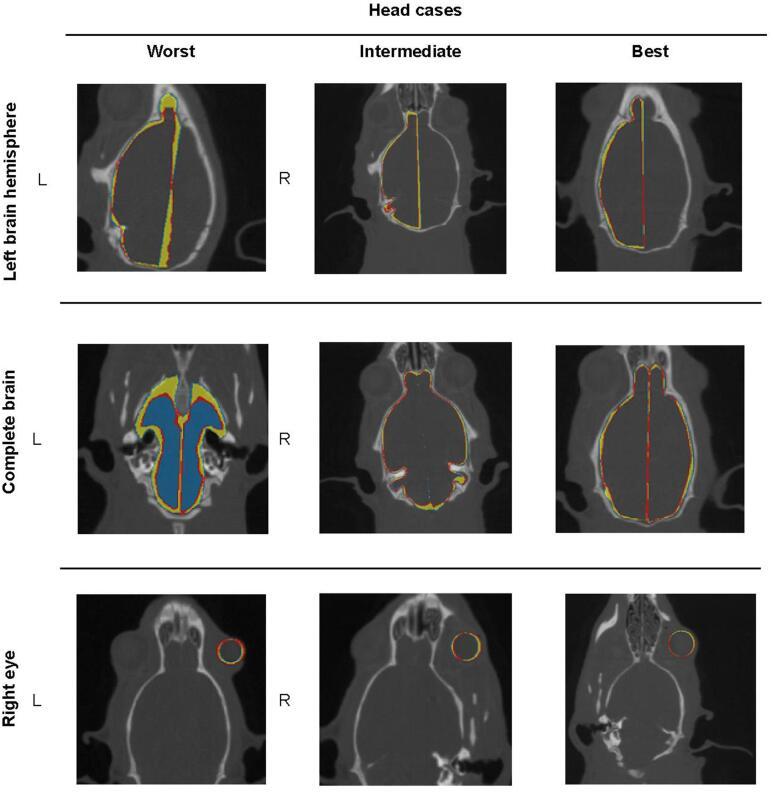 https://cdn.ncbi.nlm.nih.gov/pmc/blobs/3ffc/8790504/cdc6d8f5263a/gr5.jpg