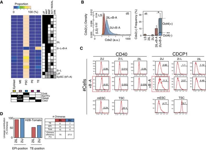 https://cdn.ncbi.nlm.nih.gov/pmc/blobs/3ffd/5787708/1a766129eaca/MSB-14-e7952-g011.jpg