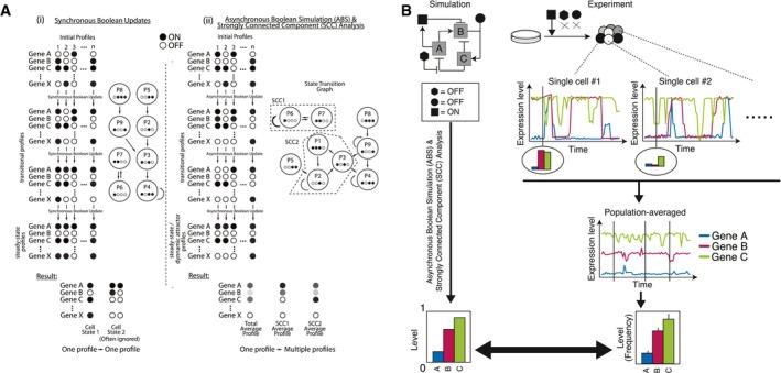 https://cdn.ncbi.nlm.nih.gov/pmc/blobs/3ffd/5787708/24845132c166/MSB-14-e7952-g003.jpg