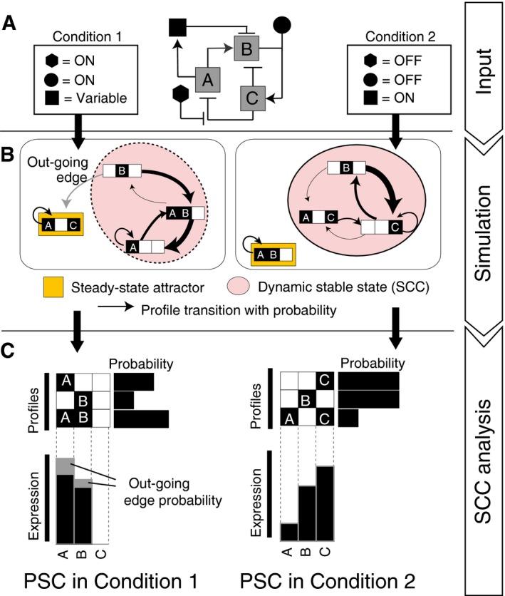 https://cdn.ncbi.nlm.nih.gov/pmc/blobs/3ffd/5787708/248637ca3de5/MSB-14-e7952-g002.jpg