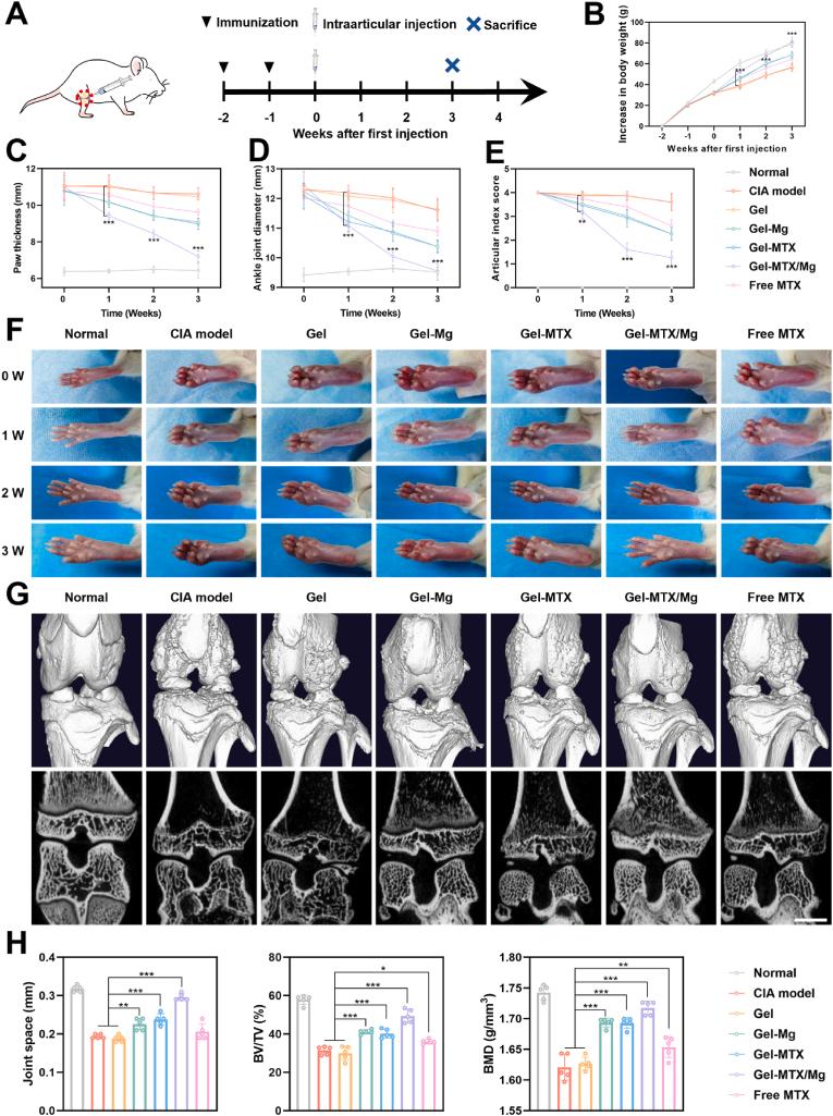 https://cdn.ncbi.nlm.nih.gov/pmc/blobs/3ffe/12313956/0b3de483507a/gr6.jpg