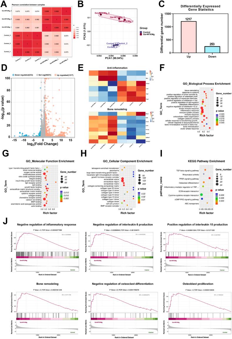 https://cdn.ncbi.nlm.nih.gov/pmc/blobs/3ffe/12313956/2ea6aa49d533/gr5.jpg