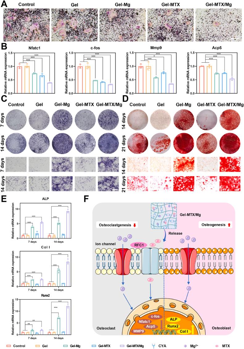 https://cdn.ncbi.nlm.nih.gov/pmc/blobs/3ffe/12313956/2eb523104138/gr4.jpg