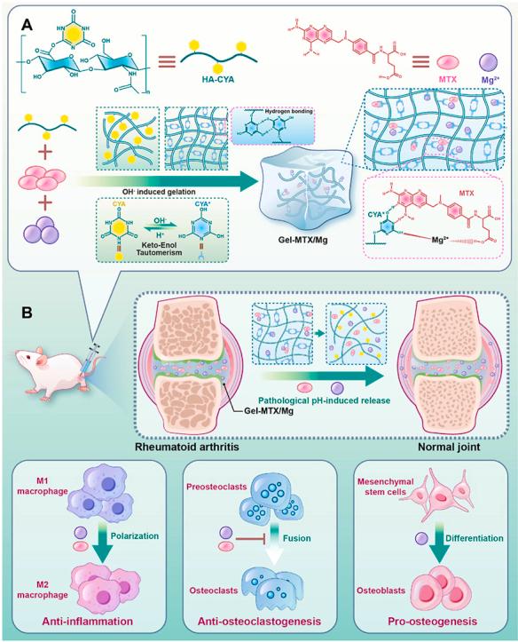 https://cdn.ncbi.nlm.nih.gov/pmc/blobs/3ffe/12313956/3a81b88db31d/ga1.jpg