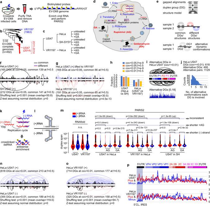 https://cdn.ncbi.nlm.nih.gov/pmc/blobs/3ffe/8058046/1af1ca7ac510/41467_2021_22552_Fig5_HTML.jpg