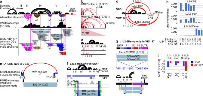 https://cdn.ncbi.nlm.nih.gov/pmc/blobs/3ffe/8058046/5a539f3e94cd/41467_2021_22552_Fig6_HTML.jpg