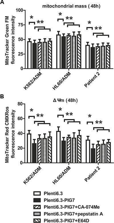 https://cdn.ncbi.nlm.nih.gov/pmc/blobs/4001/4826247/9469109356e0/oncotarget-07-4841-g008.jpg