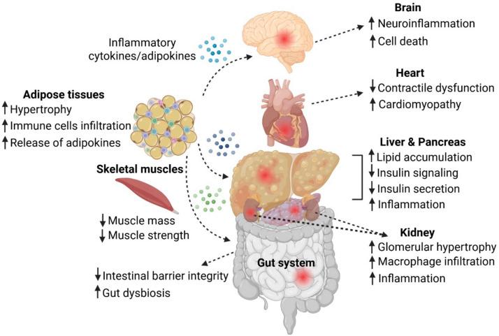 https://cdn.ncbi.nlm.nih.gov/pmc/blobs/4006/12078456/00174af357ff/13679_2025_638_Fig1_HTML.jpg