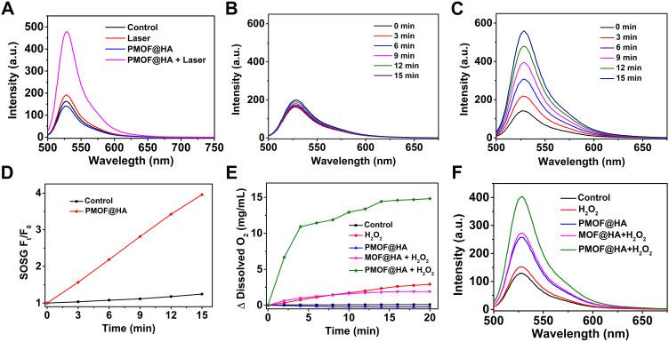 https://cdn.ncbi.nlm.nih.gov/pmc/blobs/400b/11418915/606921ee9f8f/IJN-19-9727-g0003.jpg