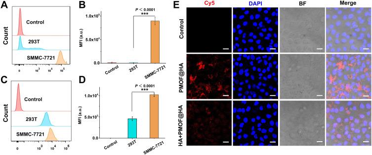 https://cdn.ncbi.nlm.nih.gov/pmc/blobs/400b/11418915/6d5a3ac21bd4/IJN-19-9727-g0004.jpg