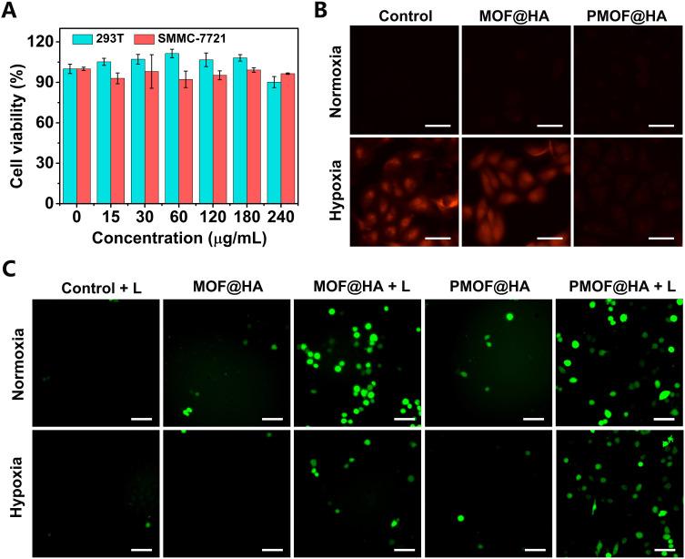 https://cdn.ncbi.nlm.nih.gov/pmc/blobs/400b/11418915/7829b6f45437/IJN-19-9727-g0005.jpg