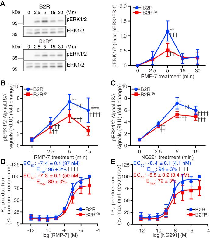 https://cdn.ncbi.nlm.nih.gov/pmc/blobs/400d/7949122/f1dd148044c2/gr5.jpg