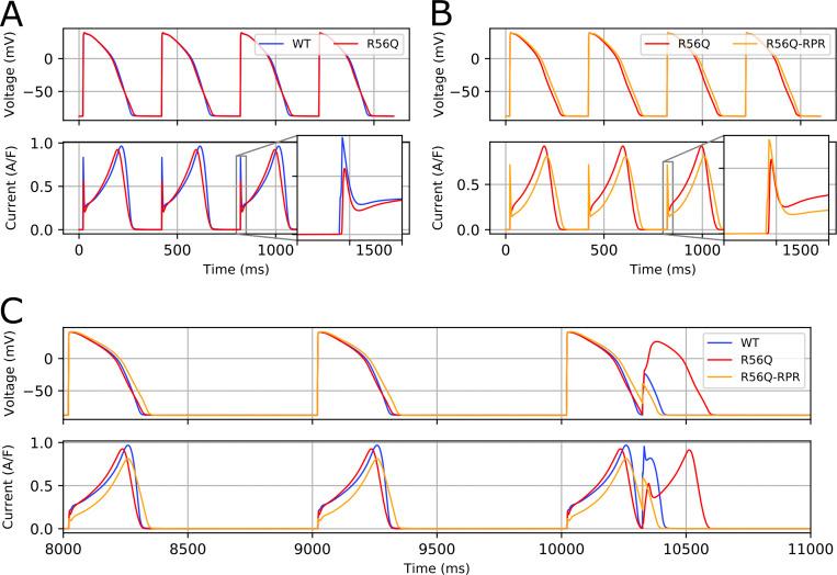 https://cdn.ncbi.nlm.nih.gov/pmc/blobs/400d/8493834/c15acd9acc4c/JGP_202112923_Fig13.jpg