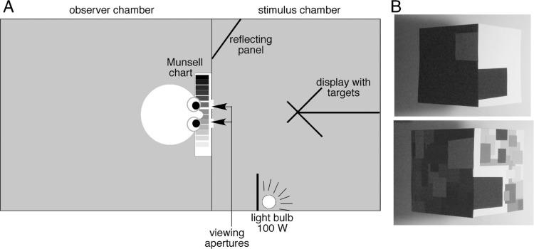 https://cdn.ncbi.nlm.nih.gov/pmc/blobs/400f/3859559/c084dc5566e0/i-perception-4-437-g0002.jpg
