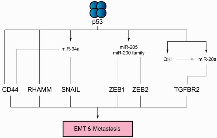 https://cdn.ncbi.nlm.nih.gov/pmc/blobs/4010/3548162/30fada907395/els058f4p.jpg