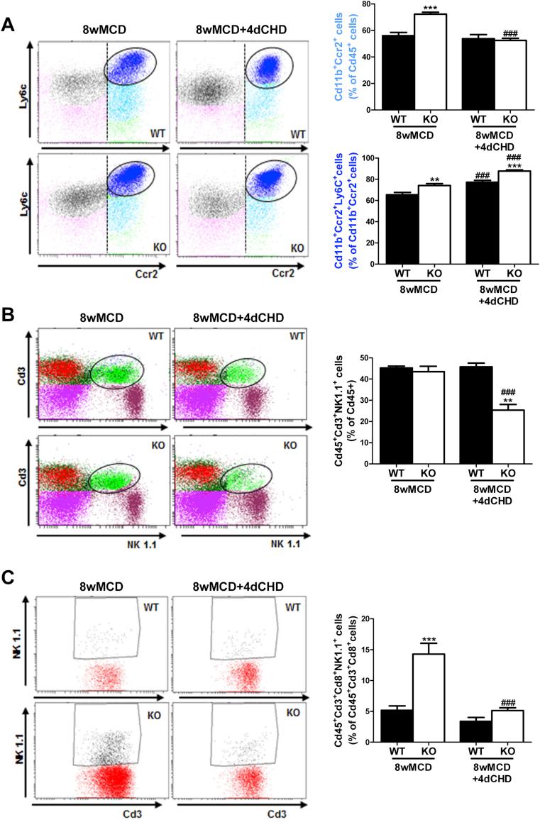 https://cdn.ncbi.nlm.nih.gov/pmc/blobs/4010/5784331/0070ff081da2/gr6.jpg