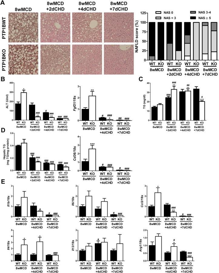 https://cdn.ncbi.nlm.nih.gov/pmc/blobs/4010/5784331/13fee64ba000/gr5.jpg
