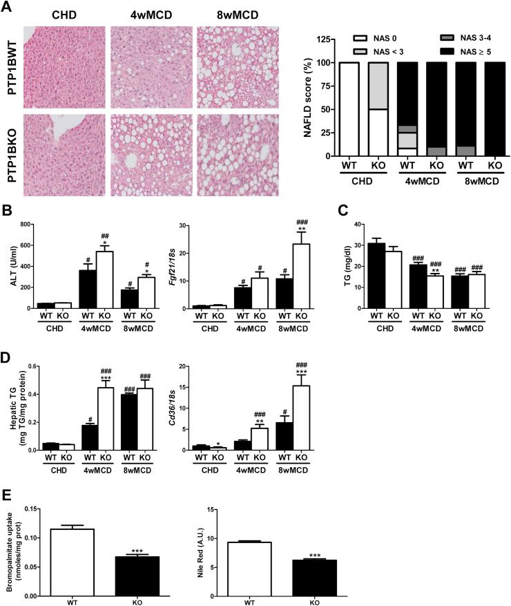 https://cdn.ncbi.nlm.nih.gov/pmc/blobs/4010/5784331/303c5a271c20/gr1.jpg