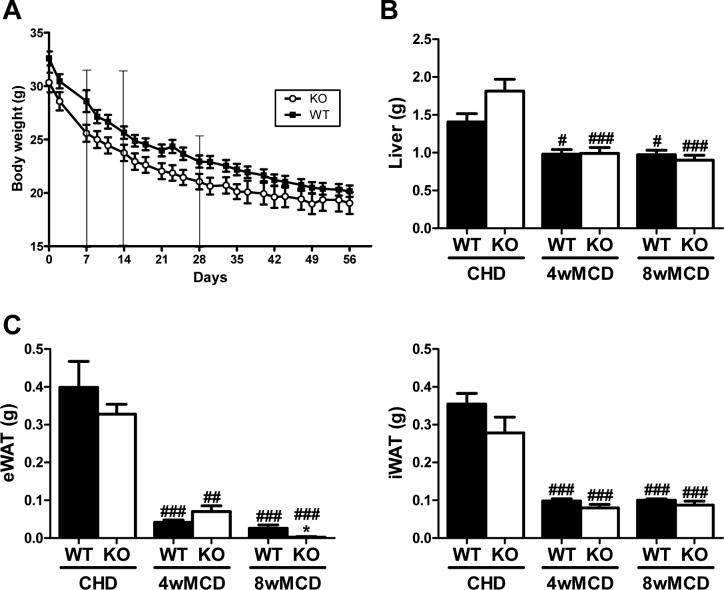 https://cdn.ncbi.nlm.nih.gov/pmc/blobs/4010/5784331/3d84a179ed06/figs1.jpg