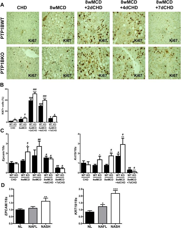https://cdn.ncbi.nlm.nih.gov/pmc/blobs/4010/5784331/62892ba11e0d/gr7.jpg