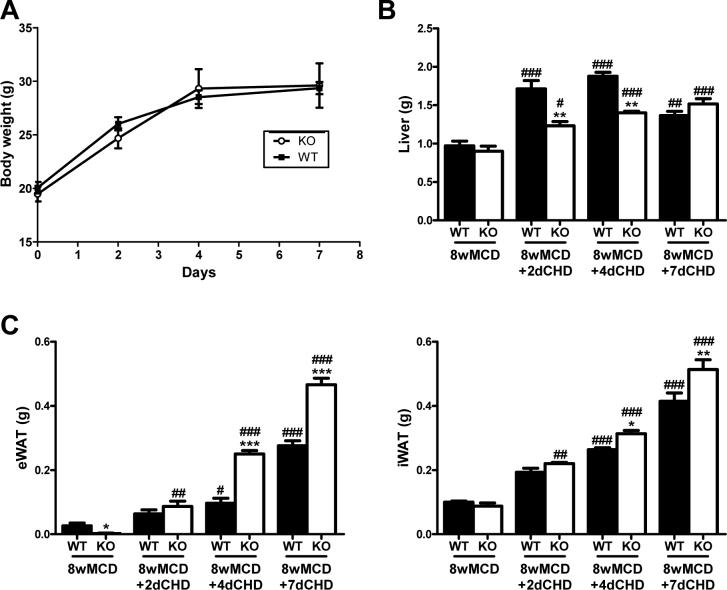 https://cdn.ncbi.nlm.nih.gov/pmc/blobs/4010/5784331/d88441d653bf/figs2.jpg