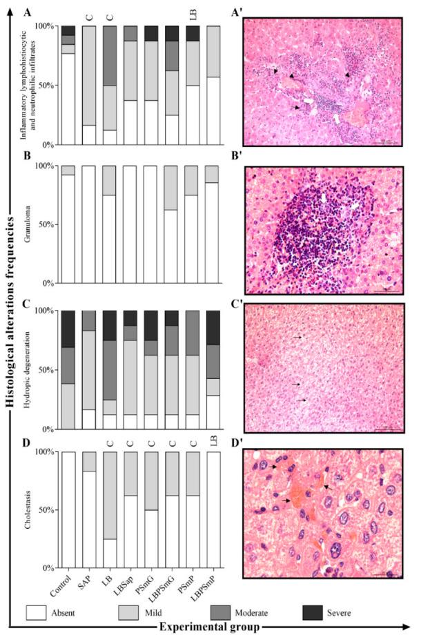 https://cdn.ncbi.nlm.nih.gov/pmc/blobs/4010/9696295/17116539ca6a/vaccines-10-01848-g002.jpg