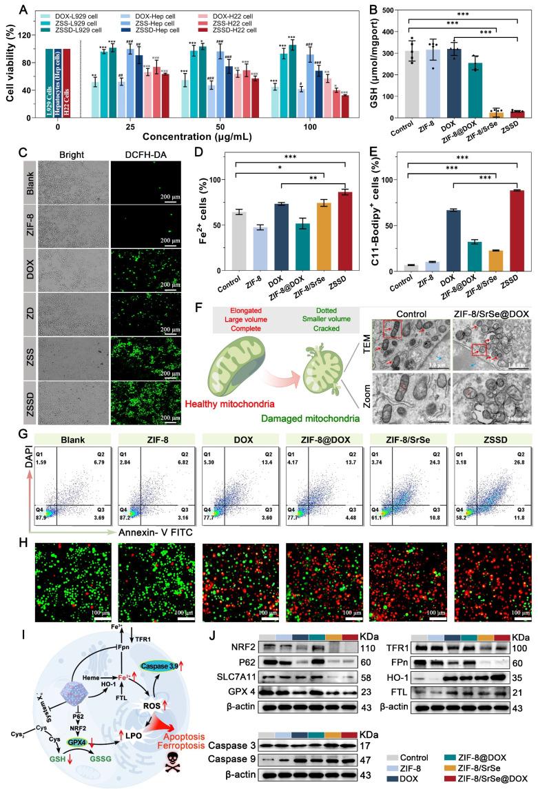 https://cdn.ncbi.nlm.nih.gov/pmc/blobs/4011/10945335/e0315e13247c/thnov14p1939g007.jpg