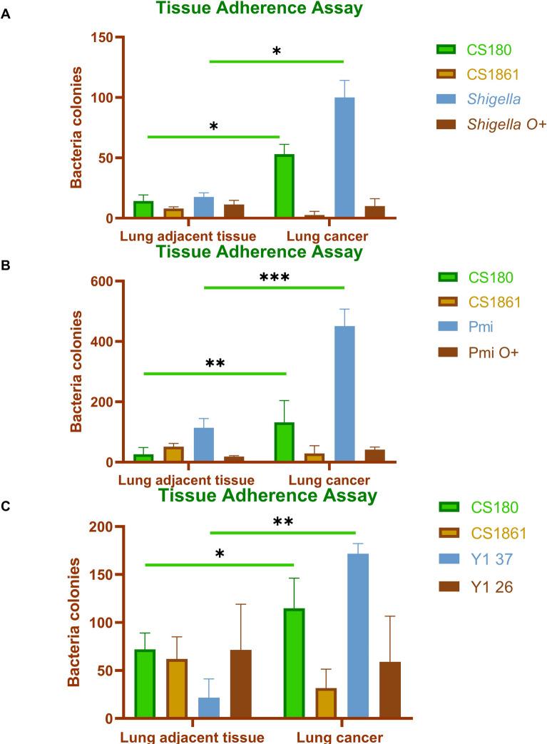 https://cdn.ncbi.nlm.nih.gov/pmc/blobs/4018/12181914/1b4f02bf4146/13027_2025_667_Fig4_HTML.jpg