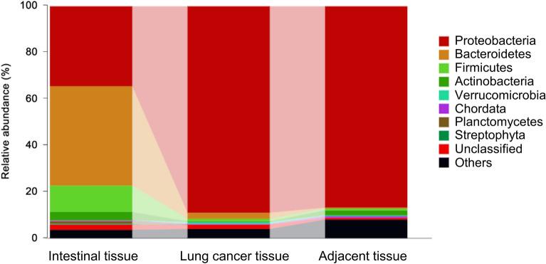 https://cdn.ncbi.nlm.nih.gov/pmc/blobs/4018/12181914/298bde28b897/13027_2025_667_Fig1_HTML.jpg