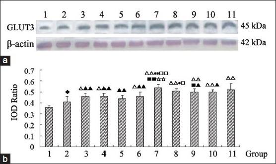https://cdn.ncbi.nlm.nih.gov/pmc/blobs/401a/4621641/a92626d3ed9a/PM-11-732-g006.jpg