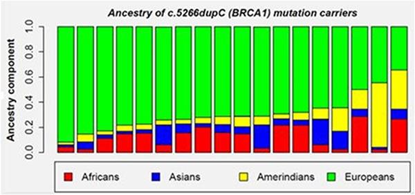https://cdn.ncbi.nlm.nih.gov/pmc/blobs/401a/5348334/b048ee31988a/oncotarget-07-80465-g003.jpg