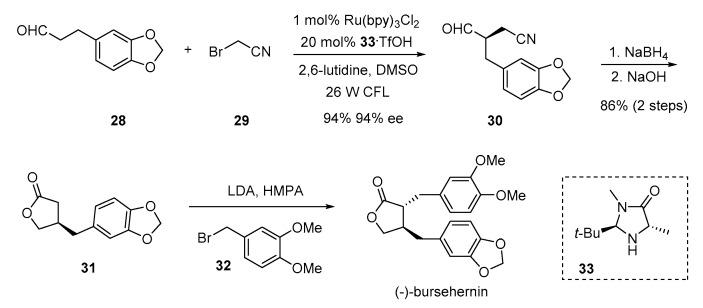 https://cdn.ncbi.nlm.nih.gov/pmc/blobs/401d/6321261/d86c968e6efe/molecules-23-03385-sch005.jpg