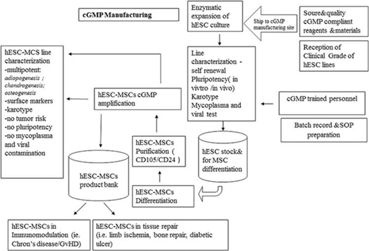 https://cdn.ncbi.nlm.nih.gov/pmc/blobs/401e/4816164/58ff0a1f07fb/cddis2015327f2.jpg