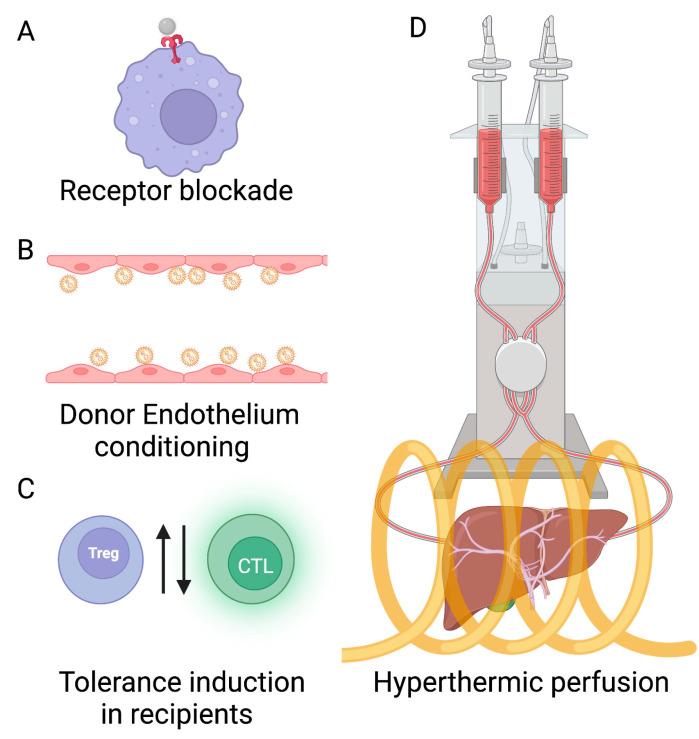 https://cdn.ncbi.nlm.nih.gov/pmc/blobs/401f/10144867/6a8a0eb2e4e9/ijms-24-07496-g001.jpg