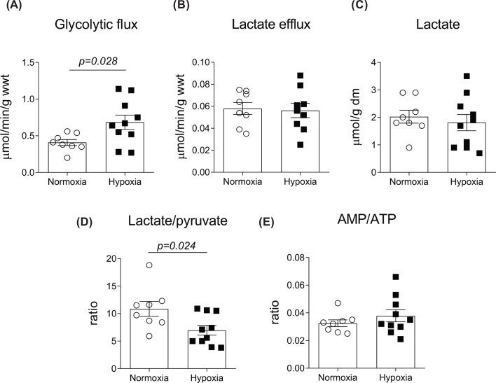 https://cdn.ncbi.nlm.nih.gov/pmc/blobs/401f/8173528/4ada53809986/bsr-41-bsr20203170-g2.jpg