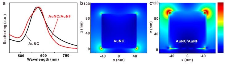 https://cdn.ncbi.nlm.nih.gov/pmc/blobs/4020/6523316/91241dee922e/nanomaterials-09-00564-g005.jpg