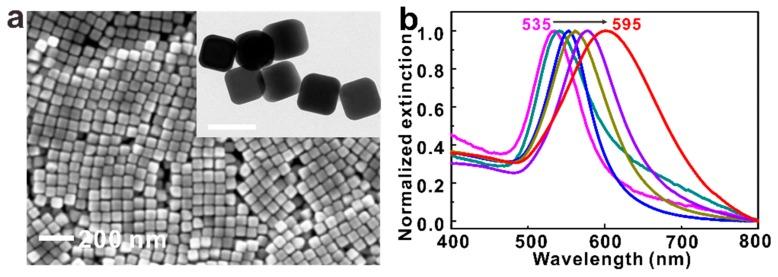https://cdn.ncbi.nlm.nih.gov/pmc/blobs/4020/6523316/c0ba5c2fe02e/nanomaterials-09-00564-g001.jpg