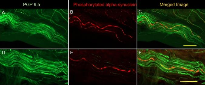 https://cdn.ncbi.nlm.nih.gov/pmc/blobs/4020/9108014/98ed500bc12b/10286_2022_867_Fig1_HTML.jpg