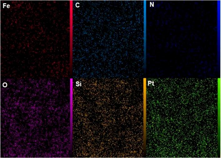 https://cdn.ncbi.nlm.nih.gov/pmc/blobs/4021/12302415/7daf2af09993/fchem-13-1631183-g009.jpg