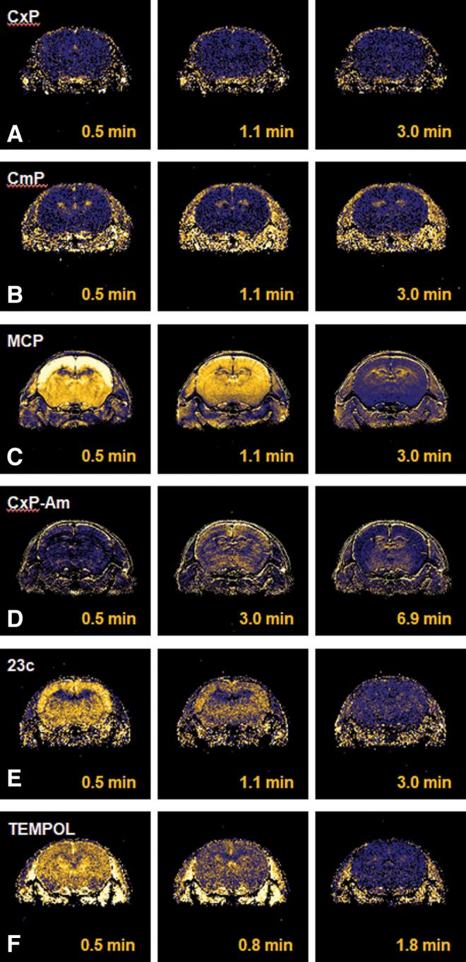 https://cdn.ncbi.nlm.nih.gov/pmc/blobs/4021/8792502/9d8170a9f265/ars.2021.0110_figure14.jpg