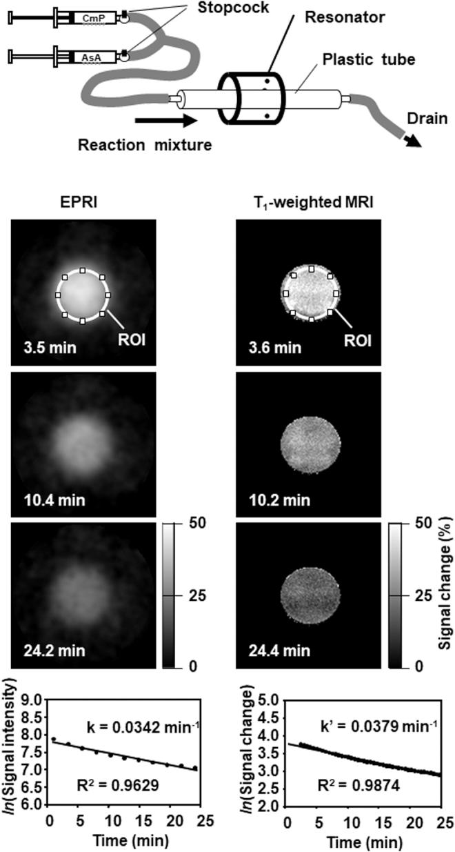 https://cdn.ncbi.nlm.nih.gov/pmc/blobs/4021/8792502/b5ee33047409/ars.2021.0110_figure7.jpg