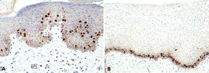 https://cdn.ncbi.nlm.nih.gov/pmc/blobs/4021/9926141/a7ecef449ea7/RJME-63-3-511-fig11.jpg